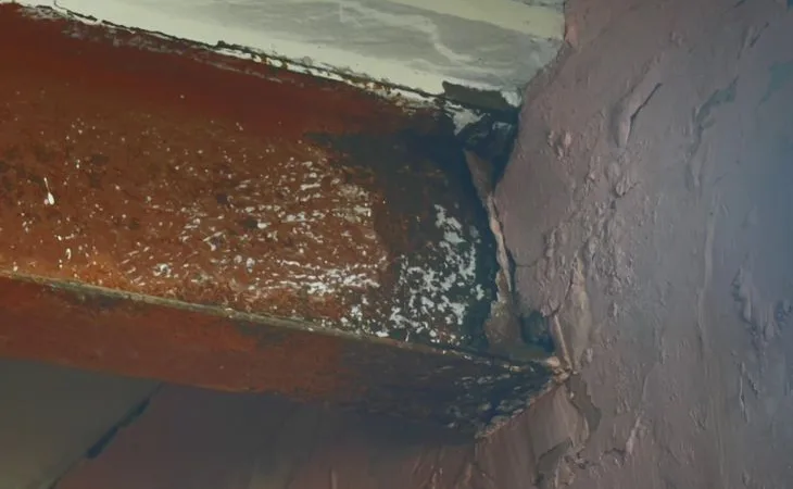 c0cc3654 c1f2 4b73 843d 0bc9a3213053 1754206824971.jpg