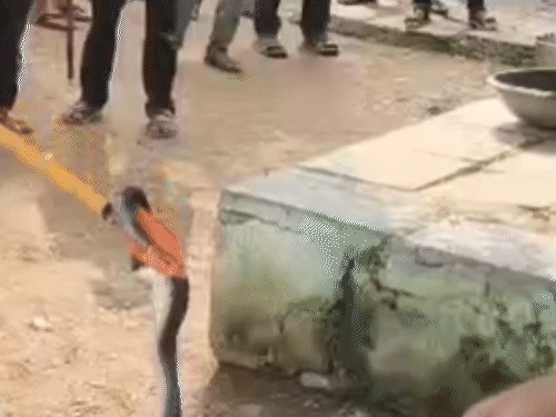 comp 106 1756559394.gif