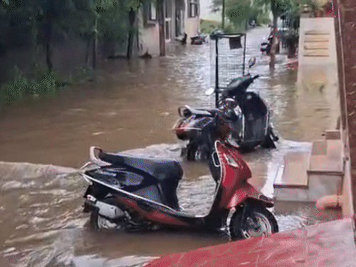 cover flood 1756303955.gif