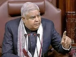 download 3 1756535590.jpg