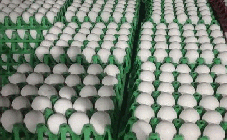 ezgifcom animated gif maker 1 1756118072.gif