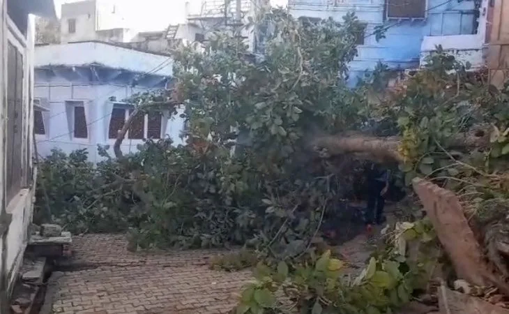 f8f9eec2 00d3 4539 8be5 219d708fd4441756191335068 1756198747.jpg