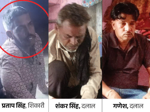 gif 20 1755752772.gif