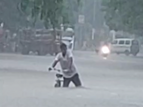 gif 48 5 1756017472.gif