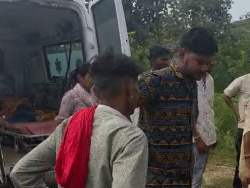 gif 71 1755508530.gif