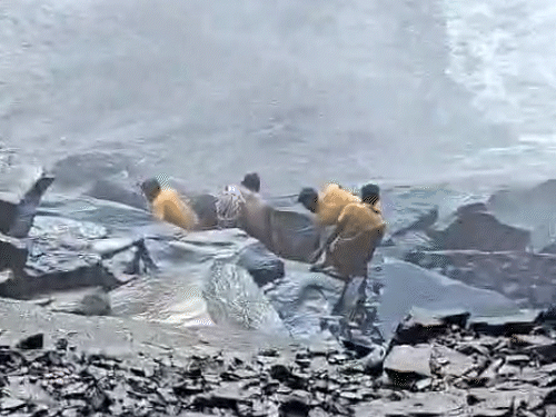 gif 87 1755765984.gif