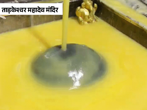 gif 8 1754286701.gif