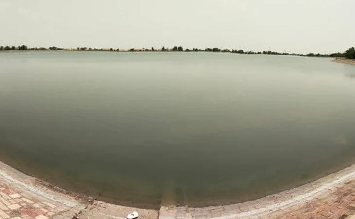 ignp 730x548 1755054822.jpg