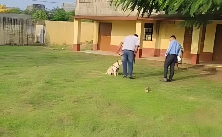 image resize color correction and ai 1755097563.jpg