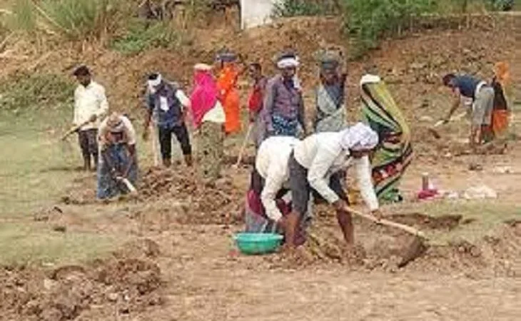 images 1756436234.jpg