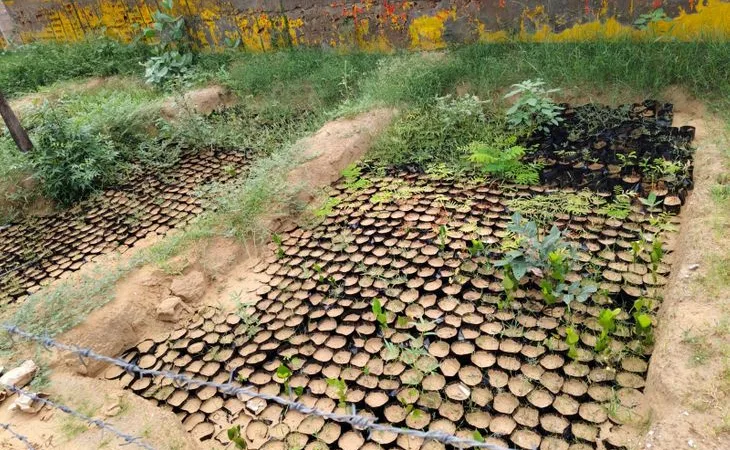 img 20250825 wa0076 1756268489.jpg