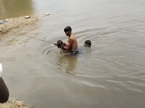 img1034 1756216935.gif