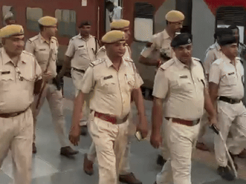 img1173 1755050474.gif