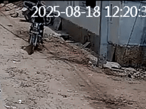 img1517 1755571399.gif