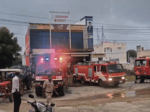 img1904 1755833568.gif