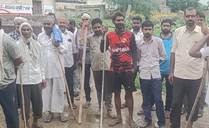 img2025080112312021 1754031688.jpeg