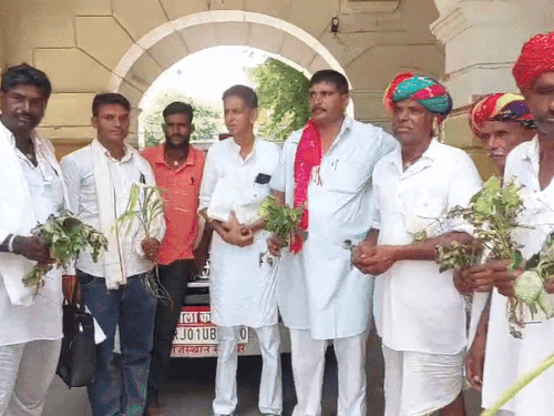 img2397 1756369403.gif