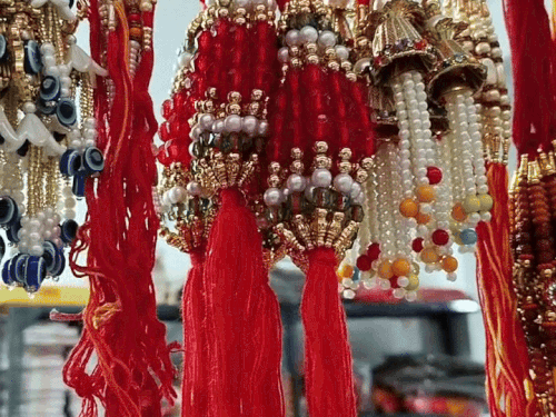 img8902 1754707286.gif