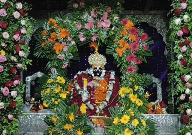 inshot20250816221440582 ezgifcom optimize 1 1755362892.gif