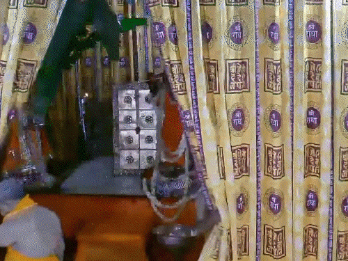 jaipur final cover 1 1755371935.gif