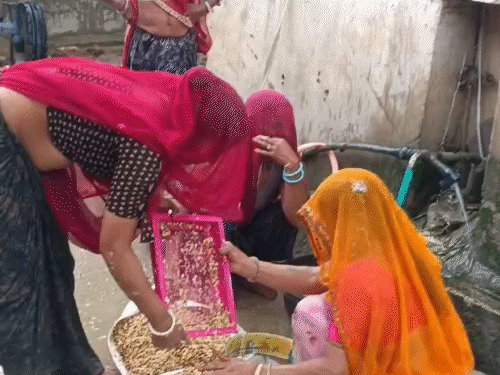 mix 7 1756031817.gif