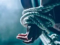 oip 1 1756227191.jpg