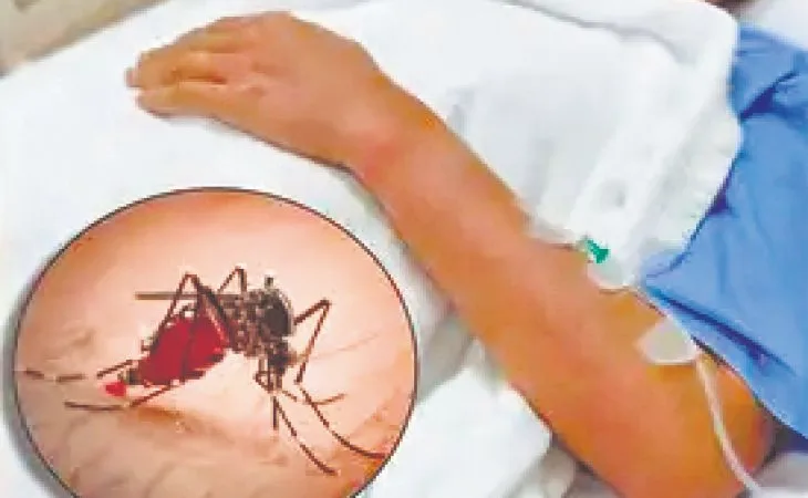 orig 101 1 1 1 1 1 1 1 1754698703.jpg