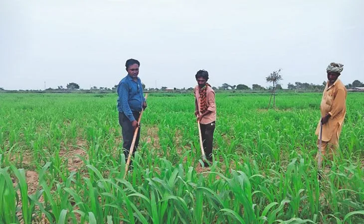 orig 41 1 1 1 1 1 1754180998.jpg