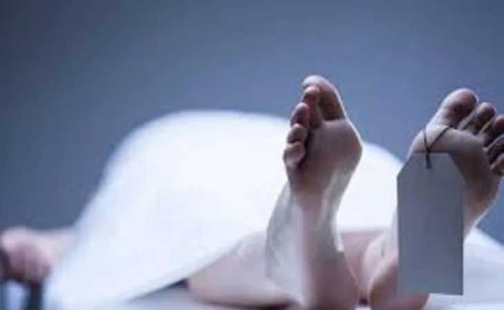 orig 6 1 1 1755044717.jpg