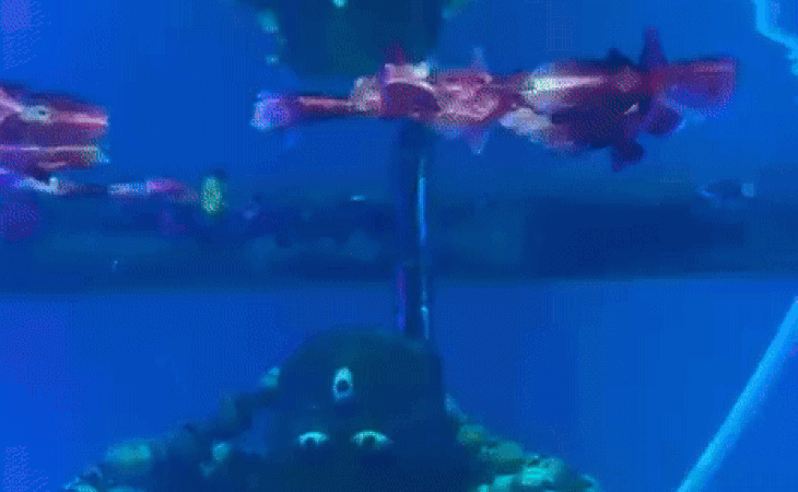 shiv2 ezgifcom resize 1754385965.gif