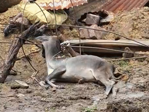 tonk mixx cover 1755963430.gif