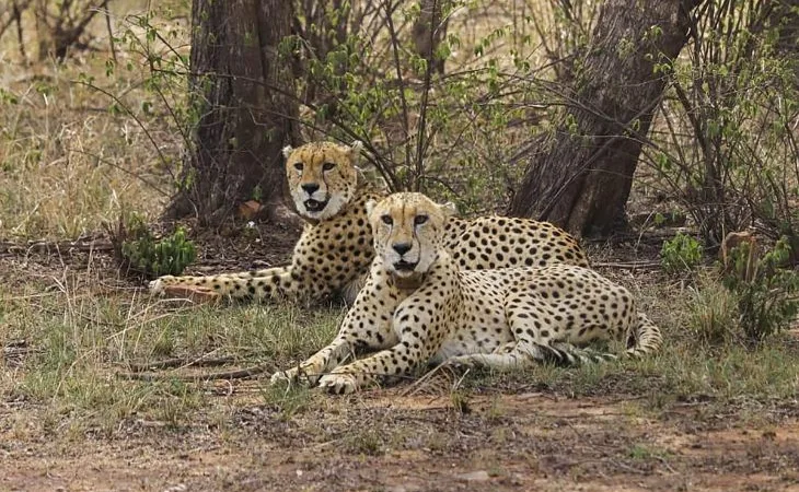 whatsapp image 2025 08 01 at 162831 fotor 20250801 1754046438.jpg