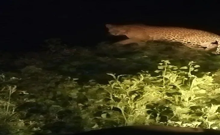 whatsapp image 2025 08 05 at 111913 am 1 1754373183.jpeg