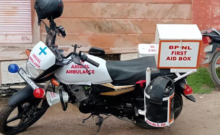 whatsapp image 2025 08 07 at 113259 am 1755322466.jpeg