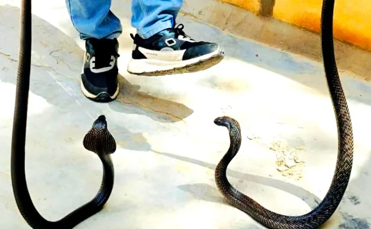 whatsapp image 2025 08 11 at 114347 fotor 20250811 1754894363.jpg