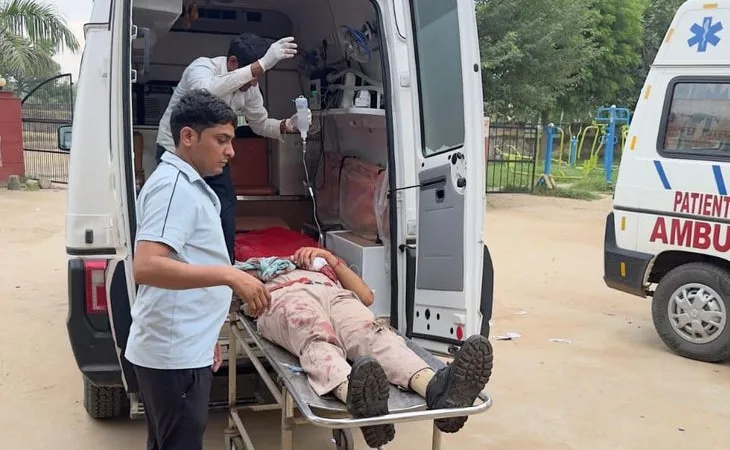 whatsapp image 2025 08 12 at 192222 1755007543.jpeg