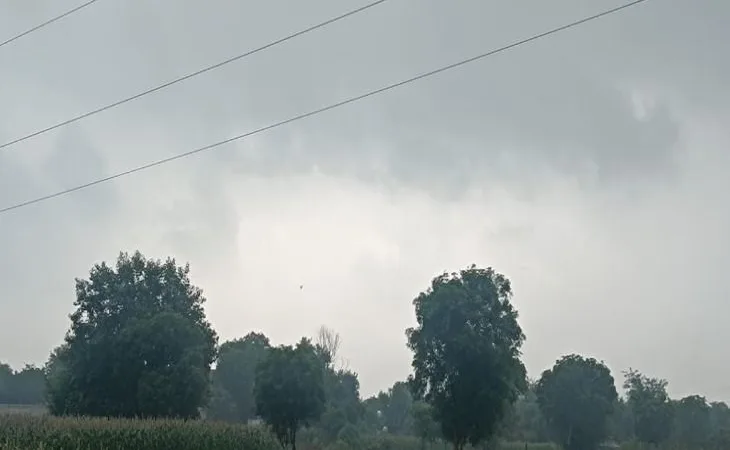 whatsapp image 2025 08 25 at 082815197b840c 1756090977.jpg