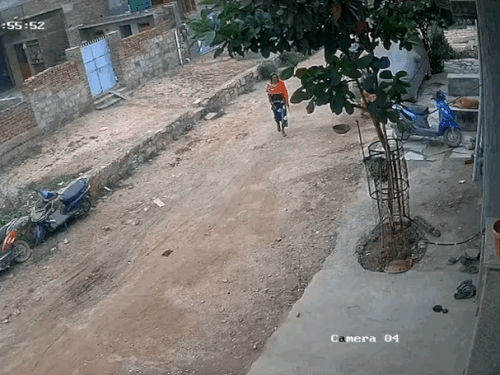 whatsappvideo2025 08 01at102456bdf5b2aa ezgifcom r 1754025659.gif