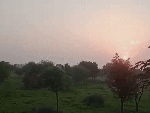 whatsappvideo2025 08 06at72441am ezgifcom resize 1754446519.gif