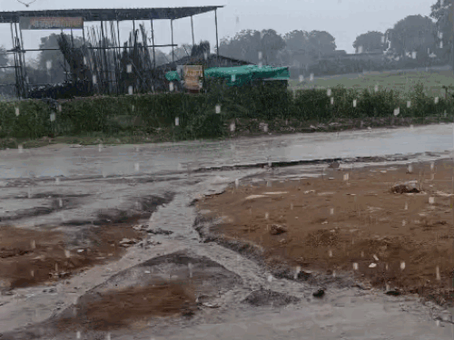 whatsappvideo2025 08 16at1426341ecb5d8e ezgifcom r 1755410277.gif