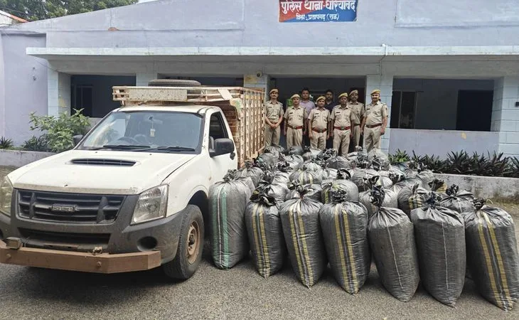 0ba6e877 f5e5 4f4c a1ab d98eb448ae15 1758880652465.jpg