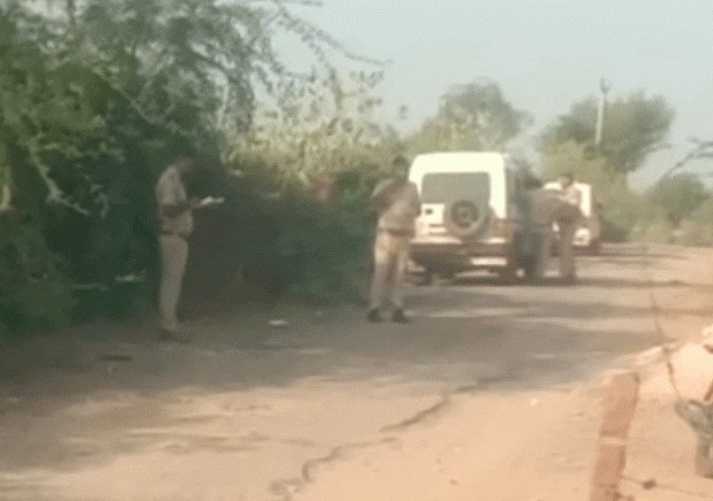 1000008550 1758260192.gif