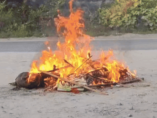 1000362527 1757769616.gif