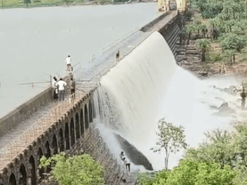 1001515430 1756818419.gif