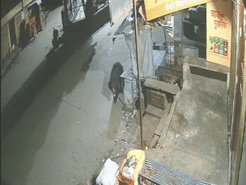 1001531194 1757060623.gif