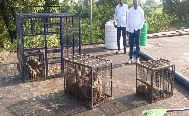 1001676632 1758120885.jpg