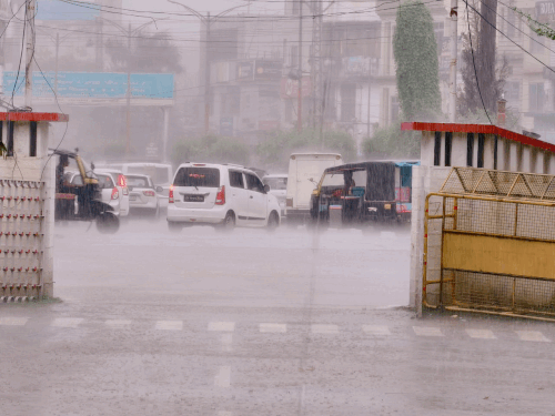 1004180777 1757135799.gif