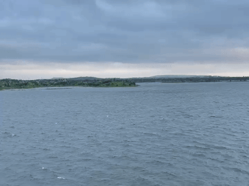 1004204925 1757392542.gif