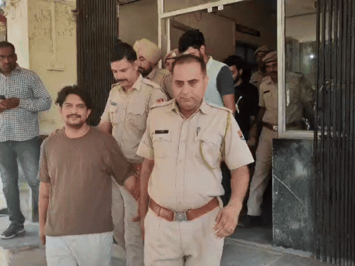 1004327419 1758805164.gif