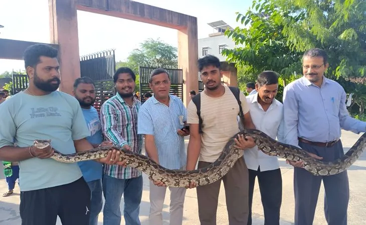 192 175743828768c0614f3542b whatsappimage20250909at45948pm1.jpg